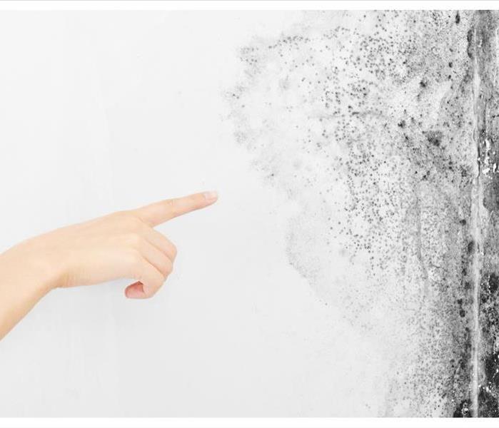 Hand pointing at a white wall with black mold