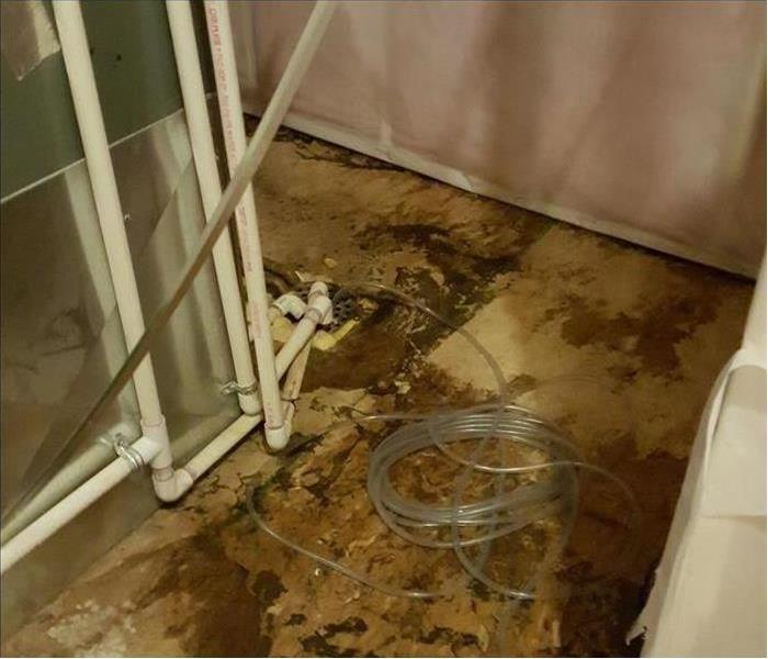 Polybutylene pipes, wet floor, floor with mold growth