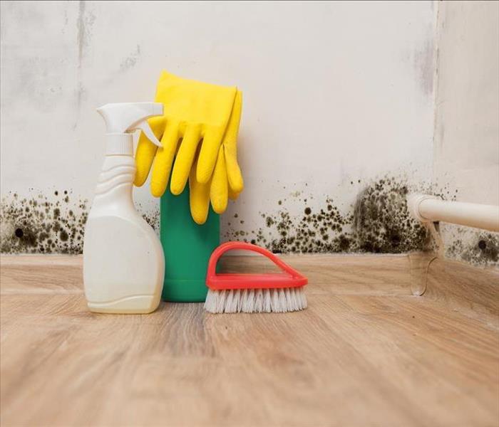 Wall with mold, brush, two plastic bottles and yellow rubber gloves